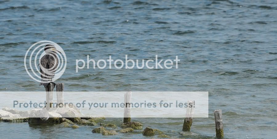 Fotografie