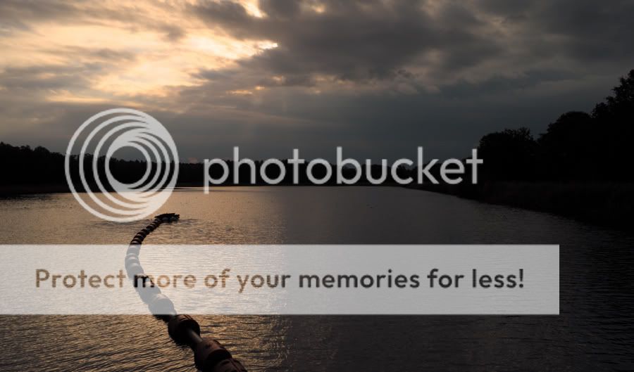 Fotografie