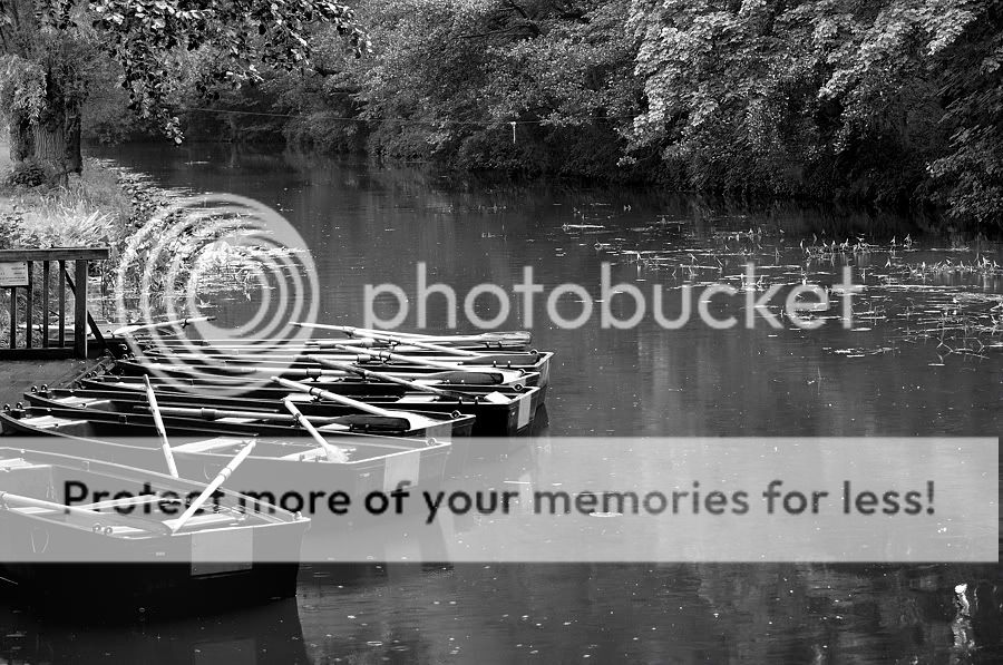 Fotografie