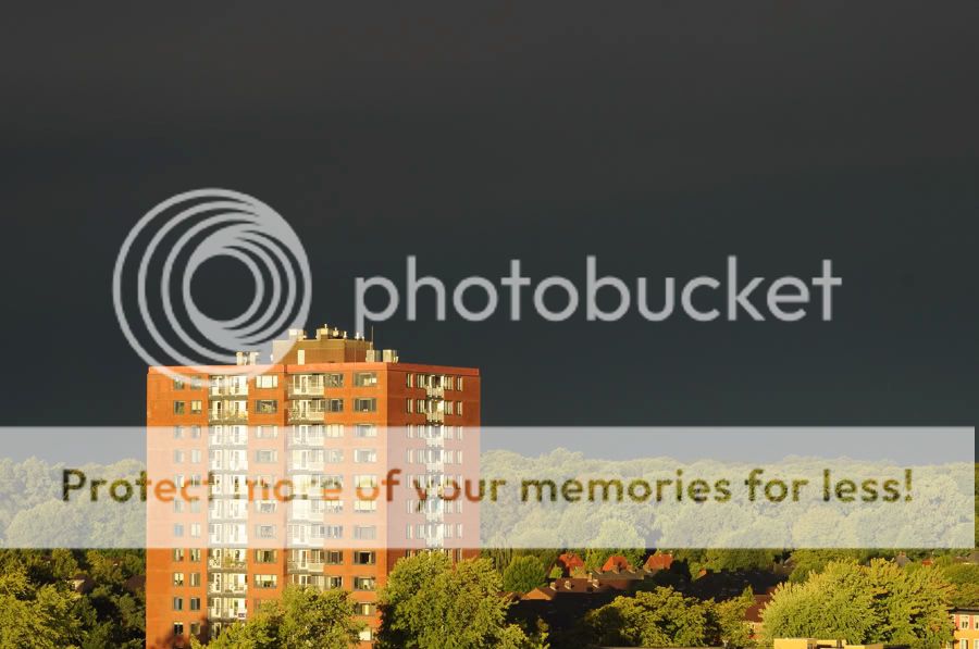 Fotografie