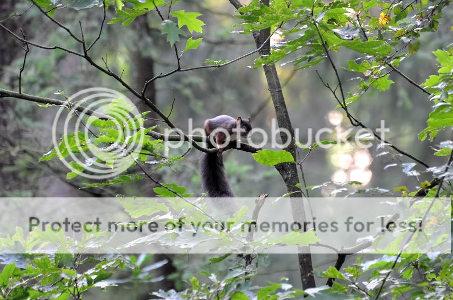 Fotografie
