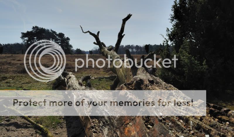 Fotografie