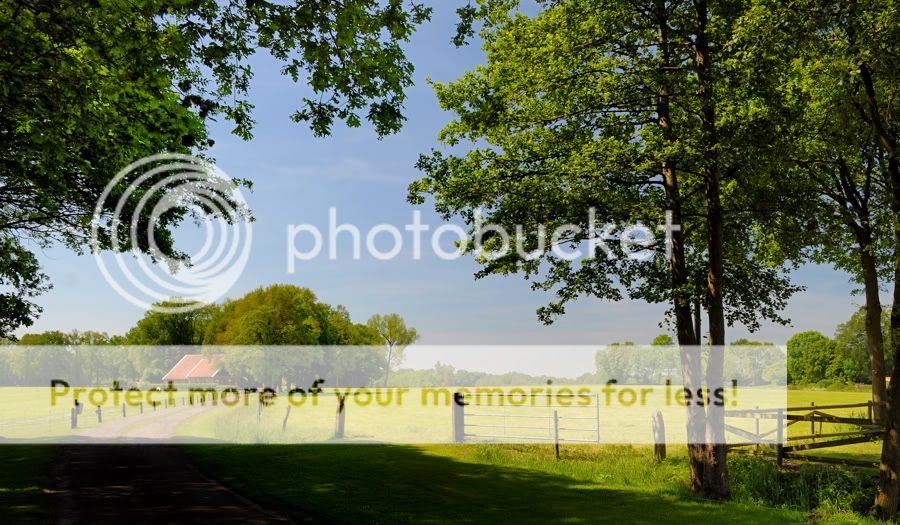 Fotografie