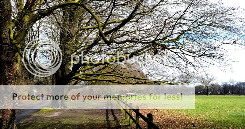 Fotografie