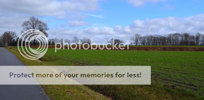 Fotografie