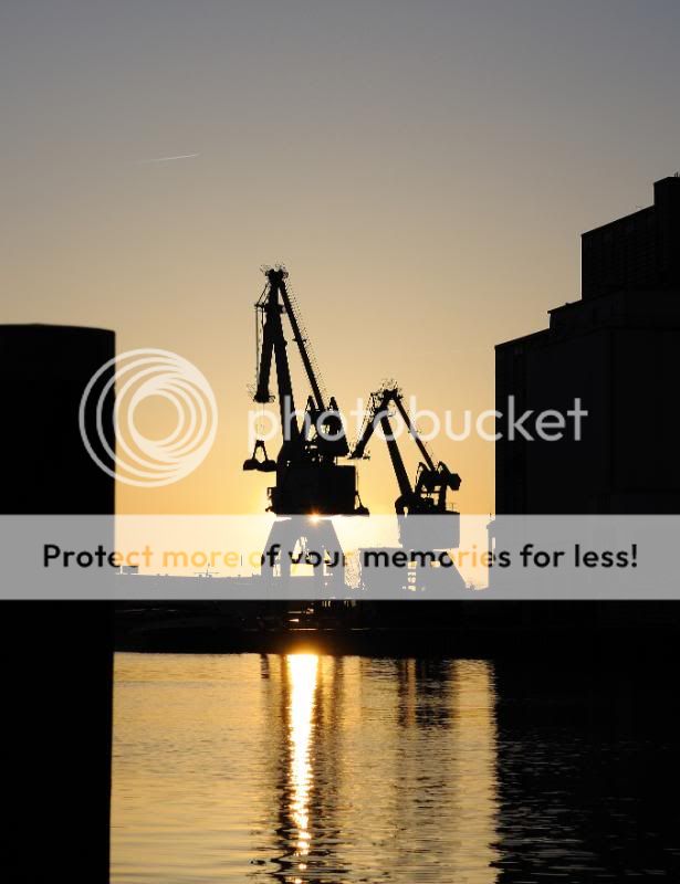 Fotografie