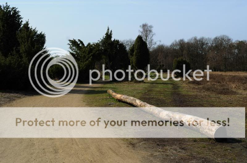 Fotografie