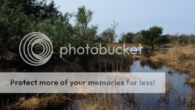 Fotografie