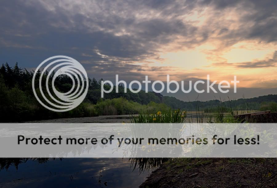 Fotografie