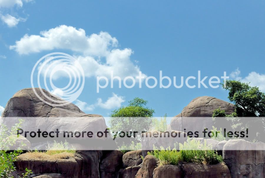 Fotografie