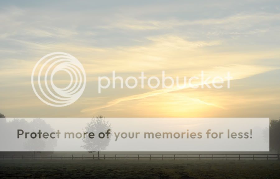 Fotografie