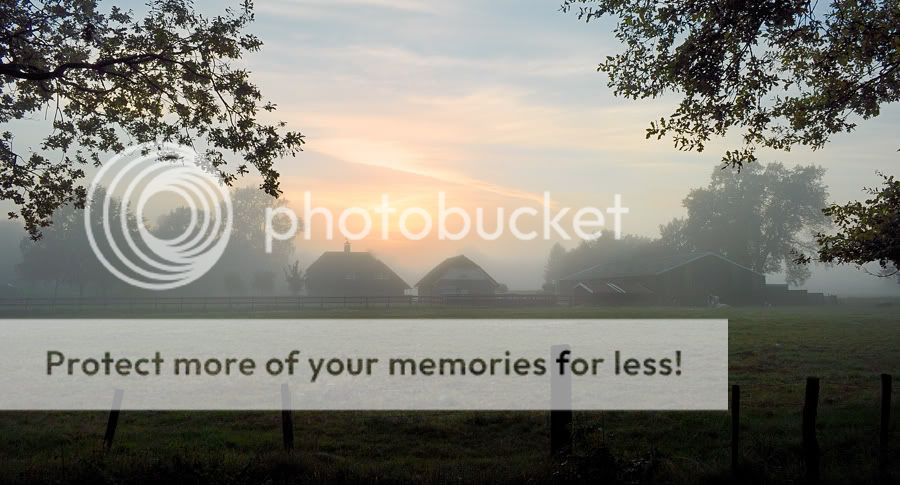 Fotografie