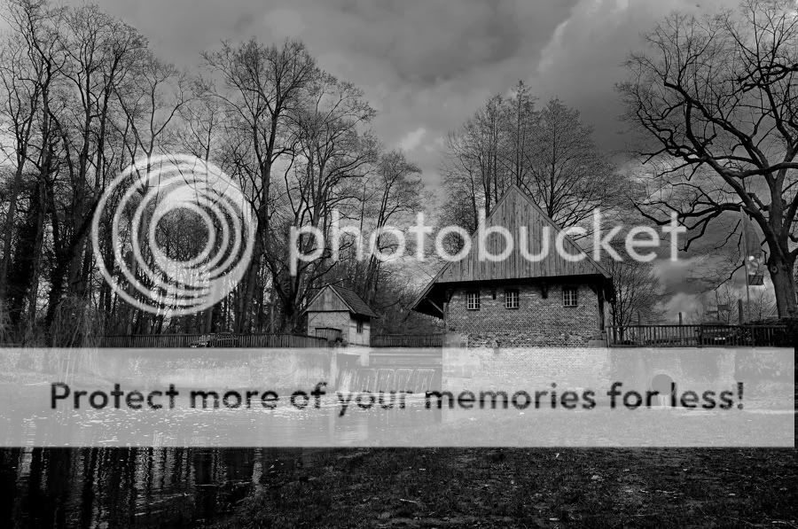 Fotografie