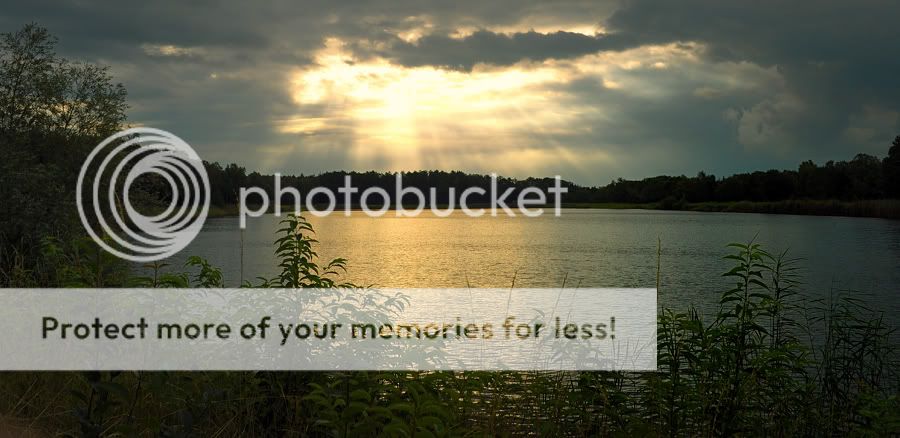 Fotografie
