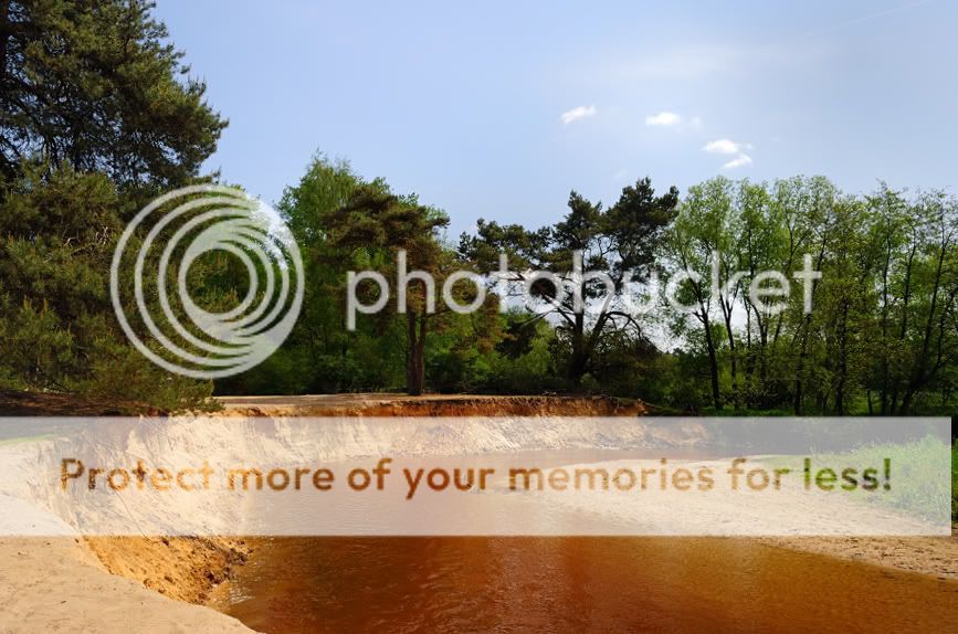Fotografie