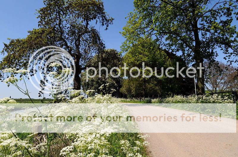 Fotografie