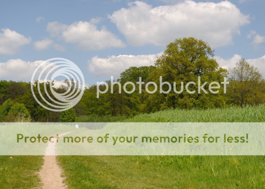 Fotografie