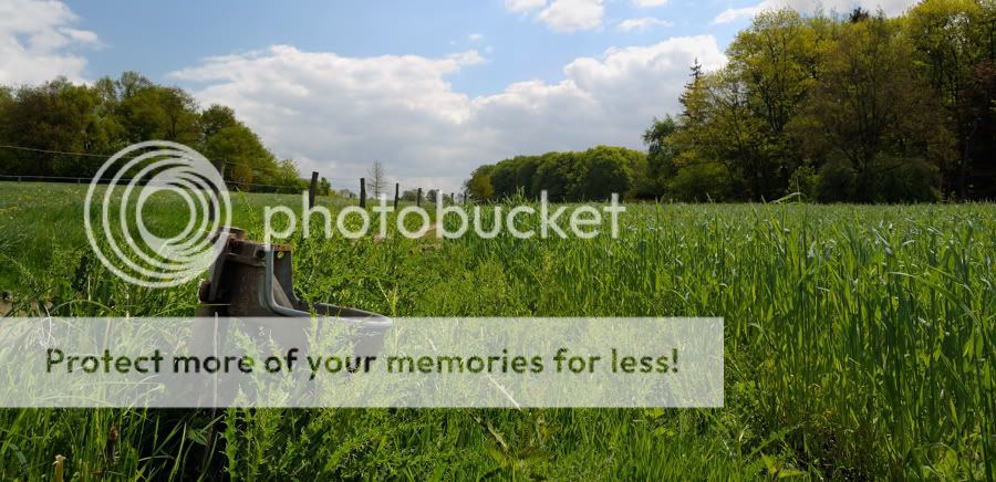 Fotografie