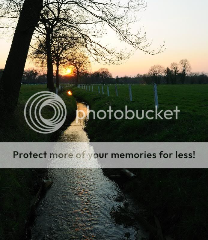 Fotografie