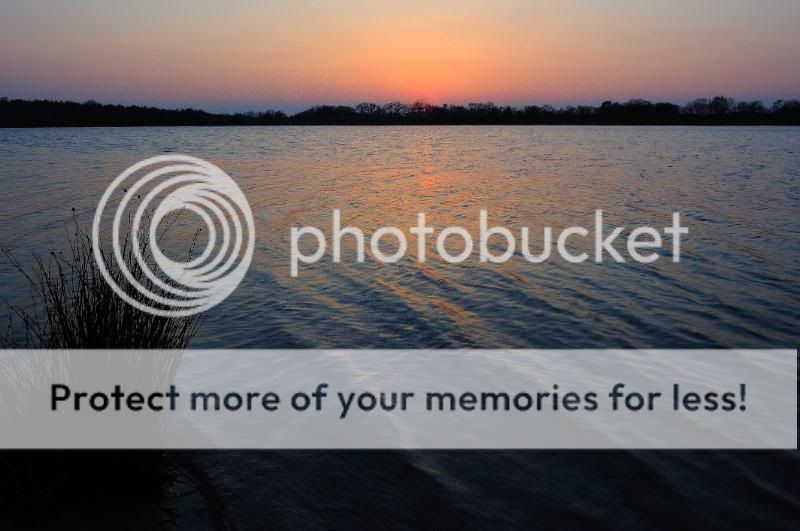 Fotografie