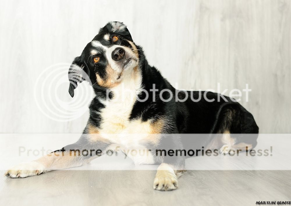 Fotografie