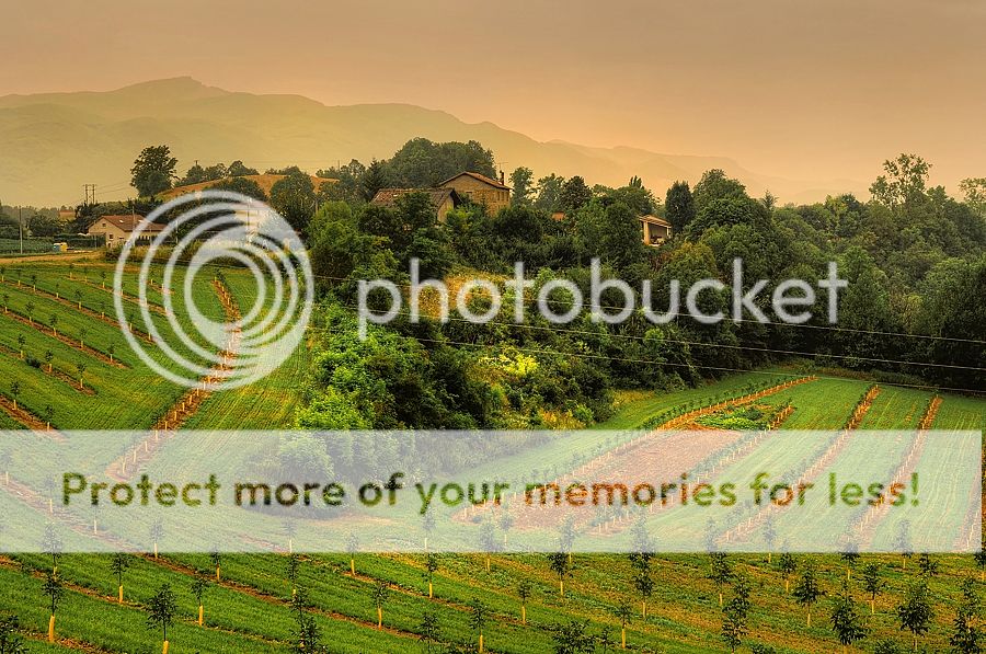 Fotografie
