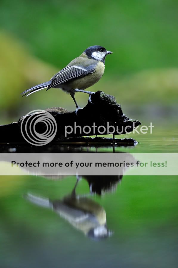 Fotografie