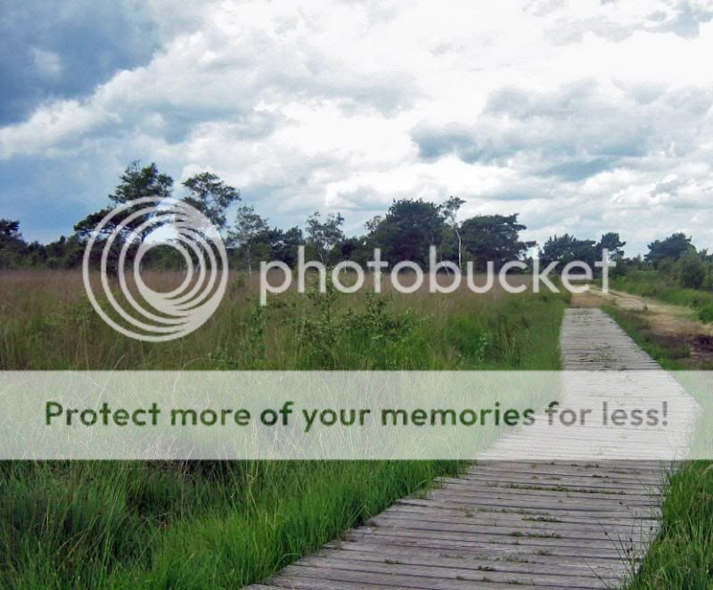 Fotografie