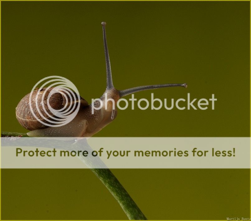 Fotografie