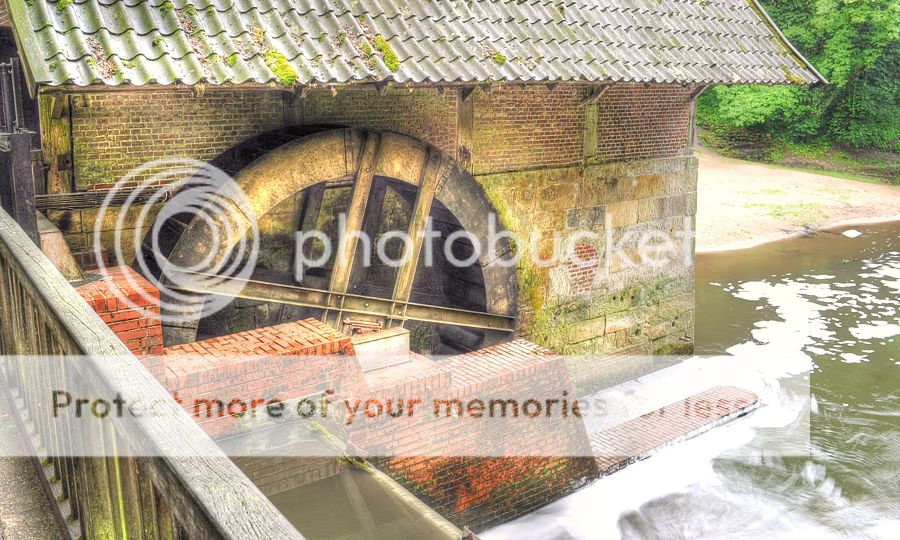 Fotografie