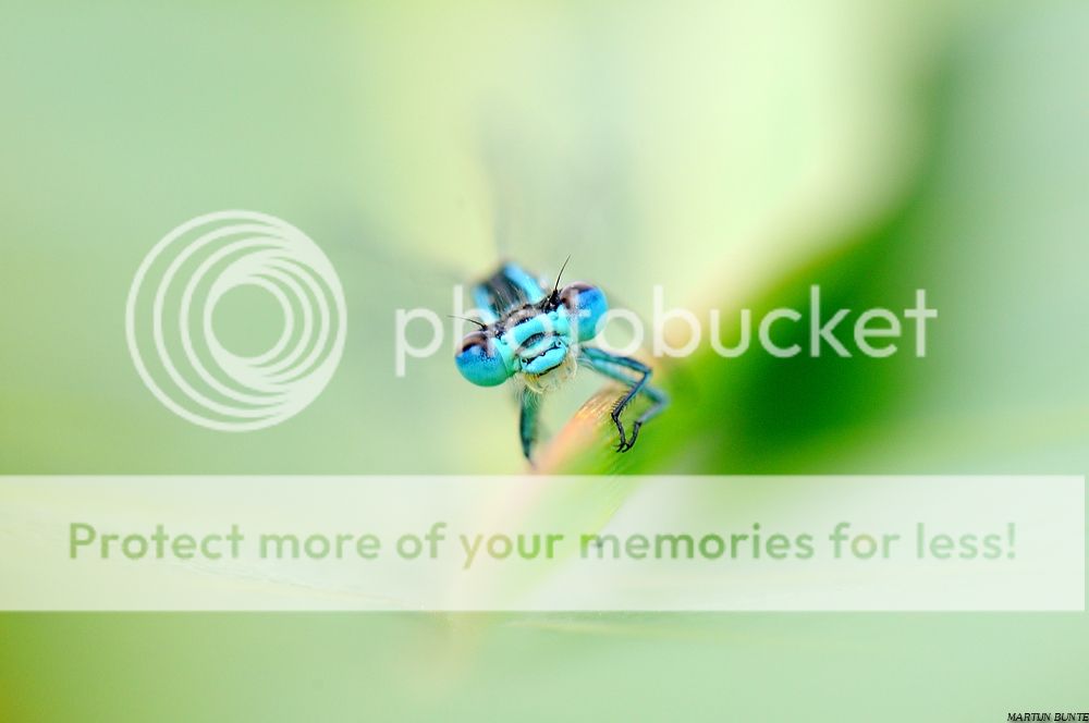 Fotografie