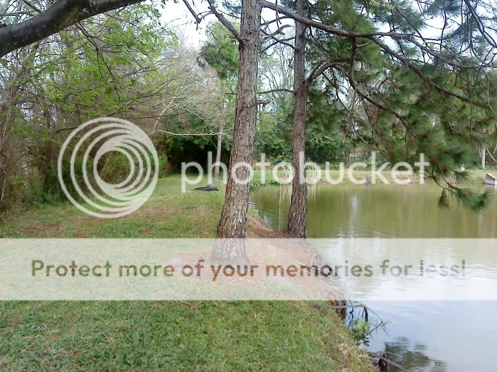 DSC00065.jpg