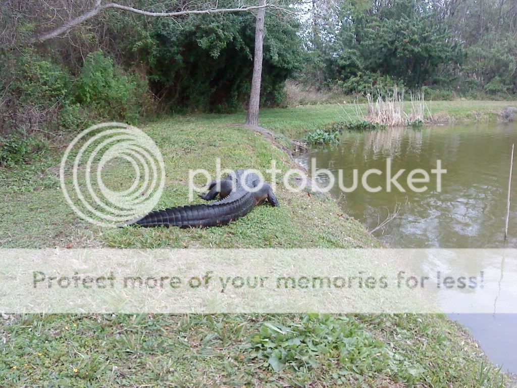 DSC00069.jpg
