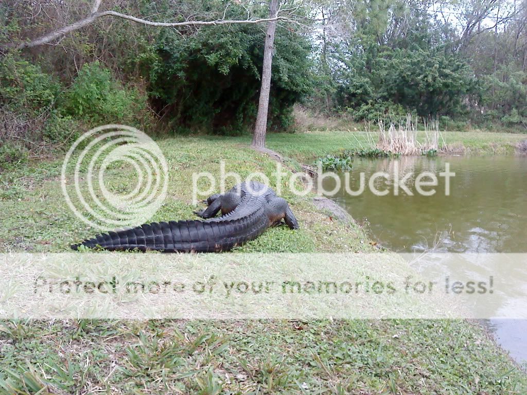 DSC00071.jpg