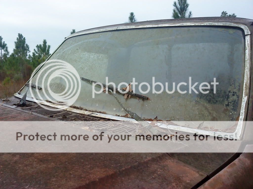 test008.jpg