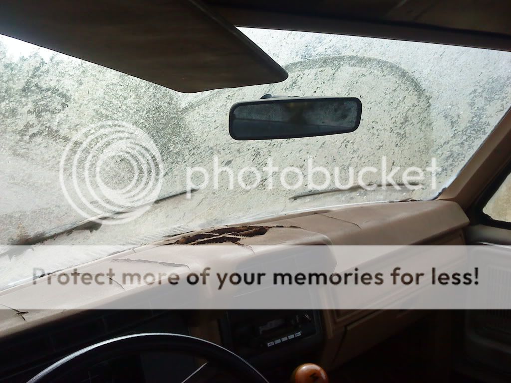 test009.jpg