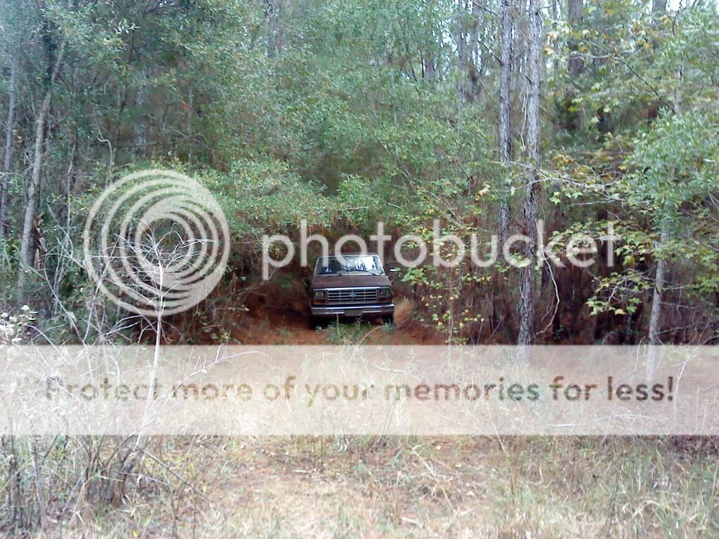 test010.jpg
