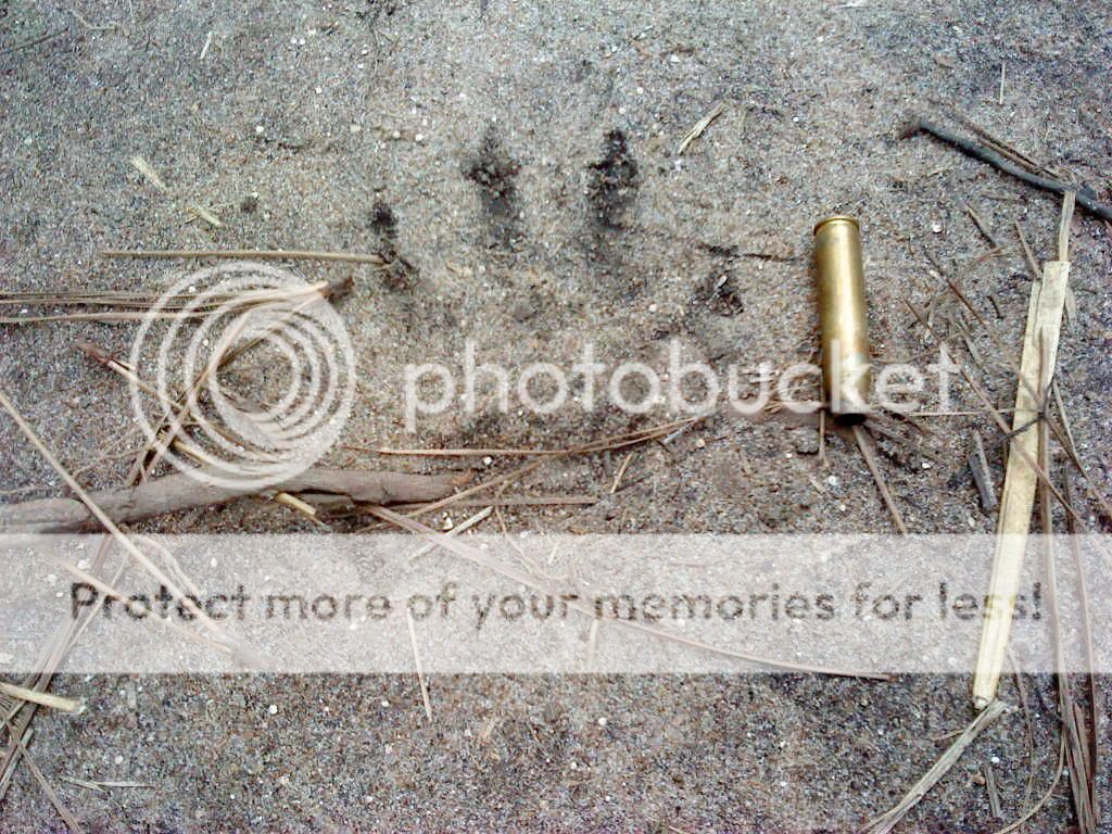 test014.jpg