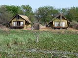 Africa,Tau Lodge