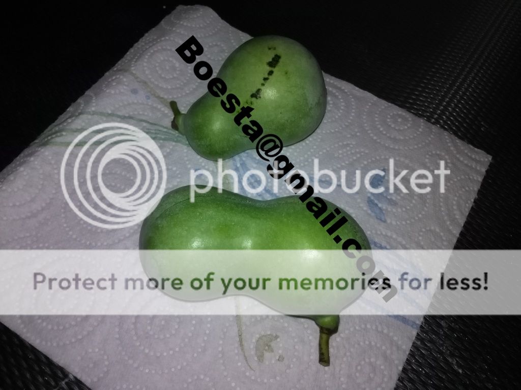 IMG_20161024_182102_zpseve57bse.jpg