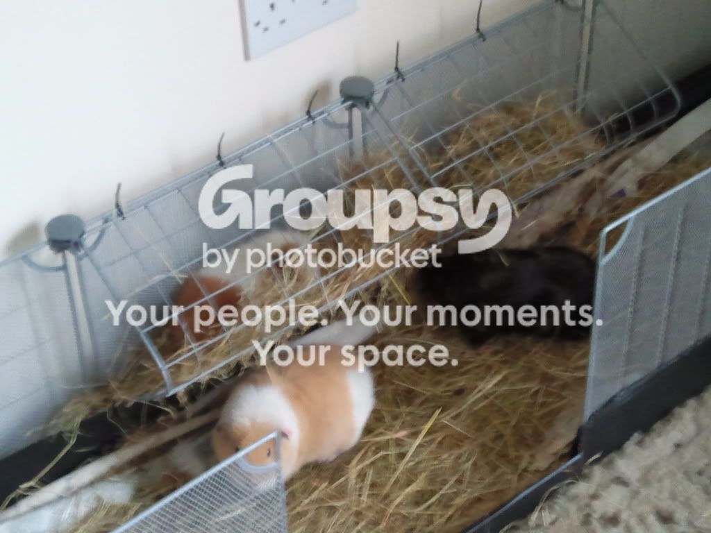 28thjuly005.jpg