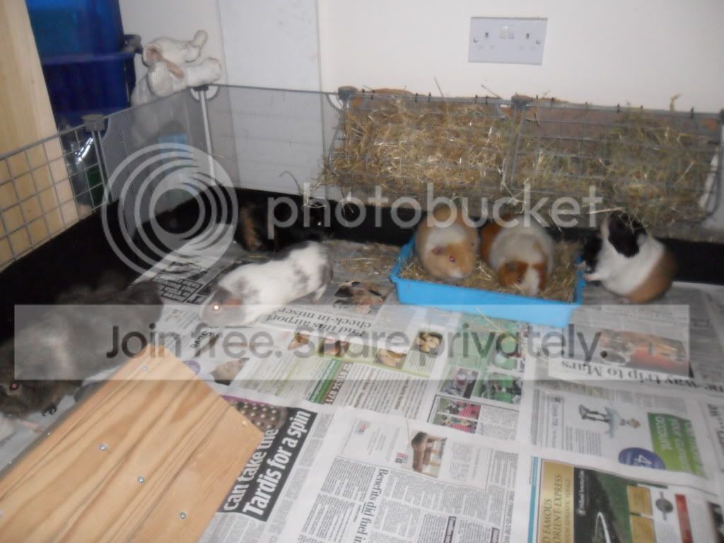 5march009.jpg