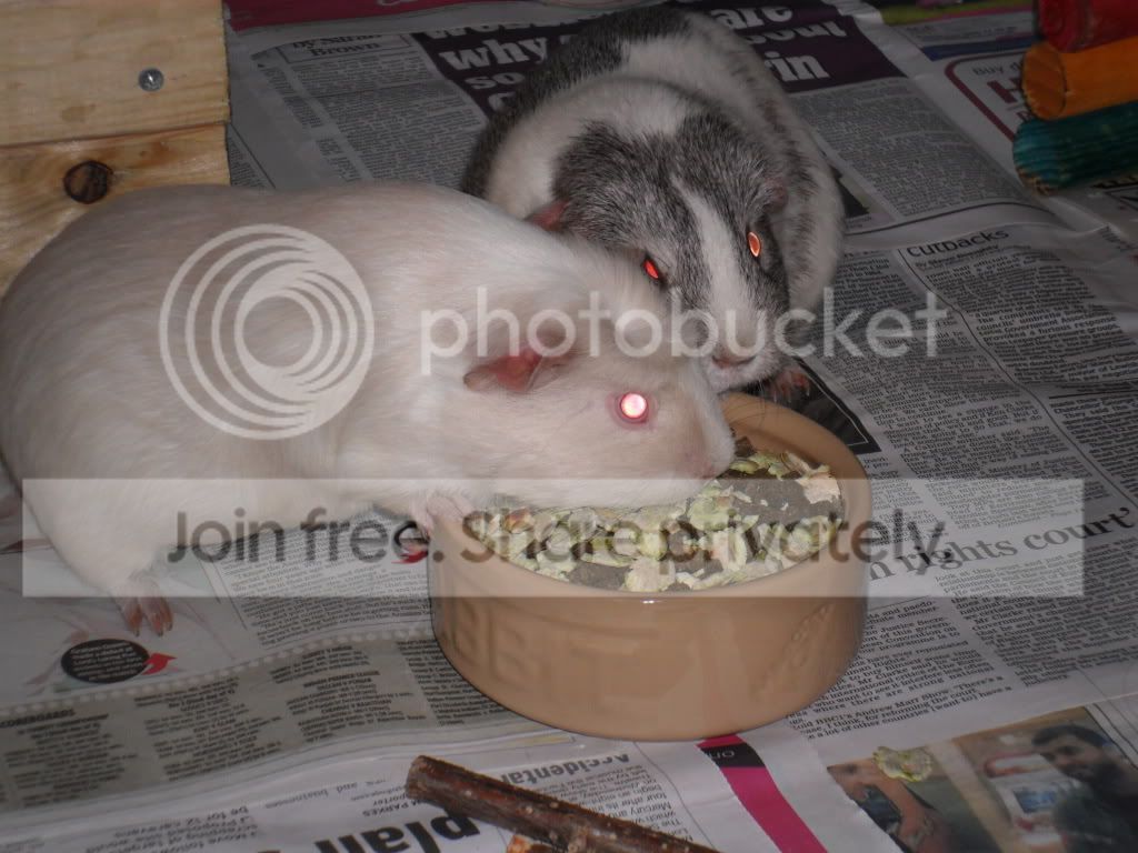 5march033.jpg