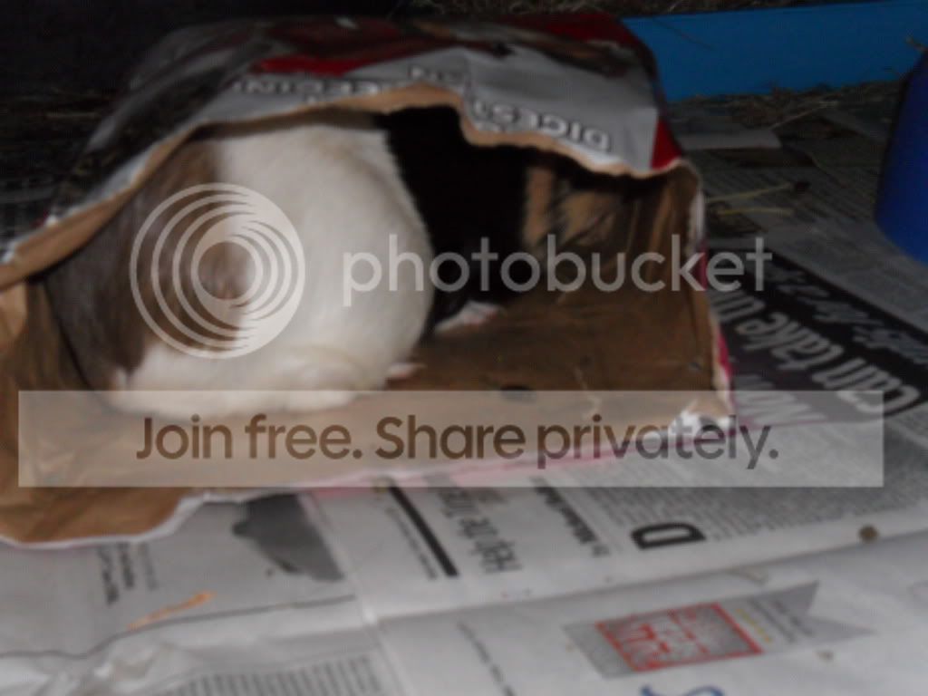 5march038.jpg