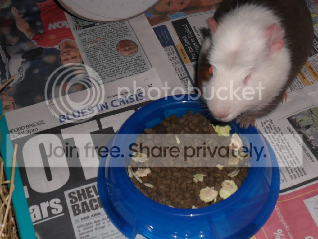 5march039.jpg