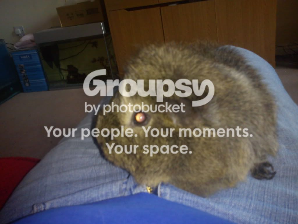 august2011021.jpg