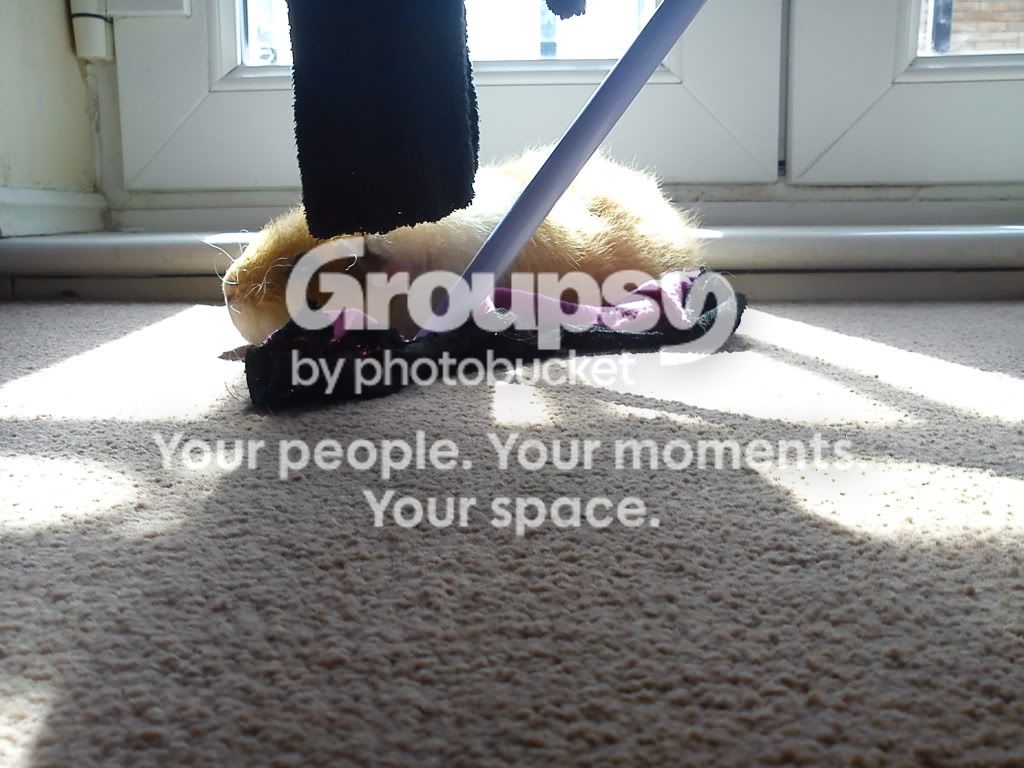 august2011051.jpg