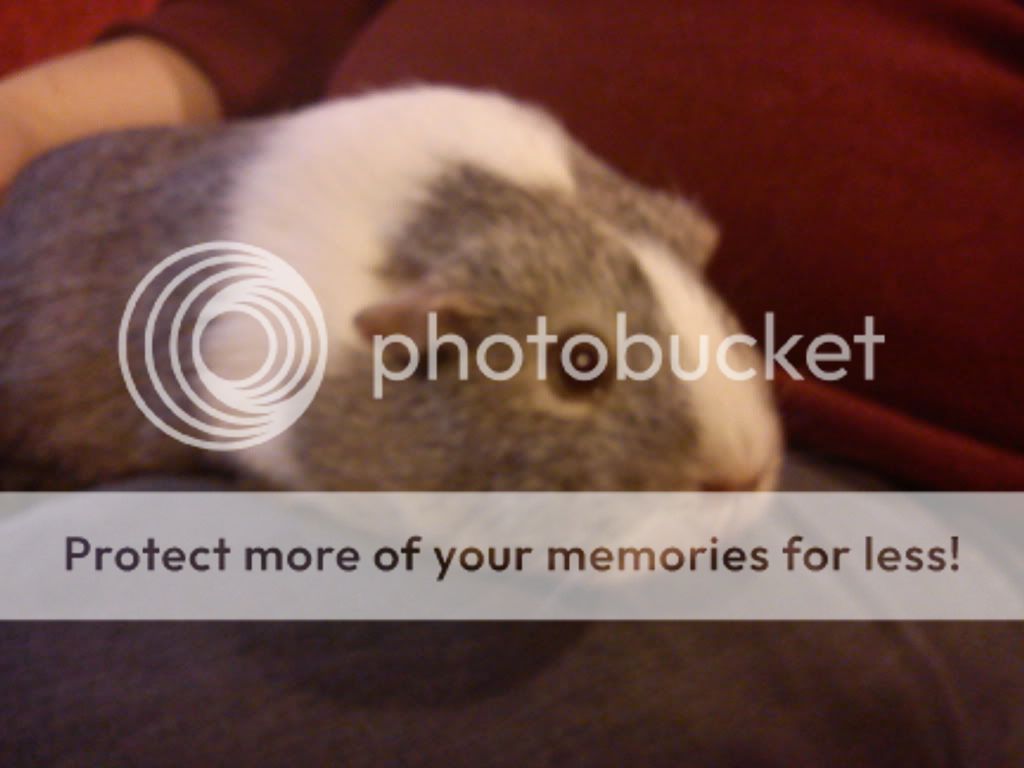 phonedec2010554.jpg
