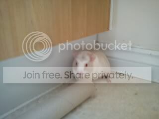phonedec2010565.jpg
