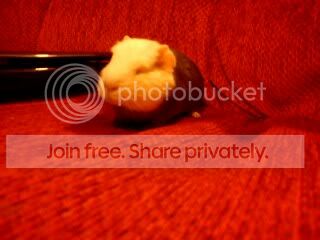 phonedec2010567.jpg